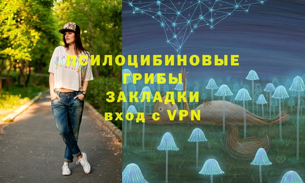 кокс Алексеевка