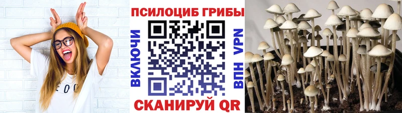 Псилоцибиновые грибы ЛСД  Карабаш 